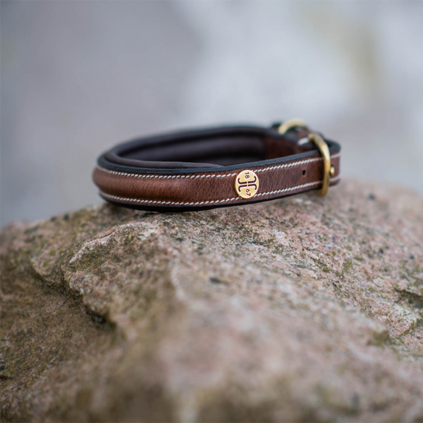 Jacson Arezzo Hundhalsband är ett stilfullt och bekvämt hundhalsband som är skapat för dig som vill kombinera exklusiv design med komfort!