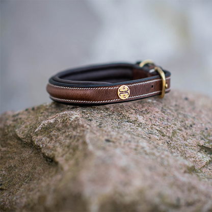 Jacson Arezzo Hundhalsband är ett stilfullt och bekvämt hundhalsband som är skapat för dig som vill kombinera exklusiv design med komfort!