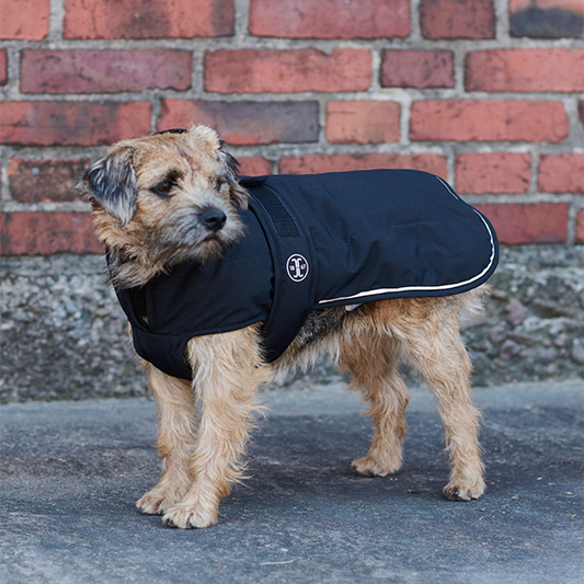 Jacson Rakel Hundtäcke är ett vinterhundtäcke med dunliknande syntetfyllning är perfekt för hundar som behöver extra värme och skydd under kyliga dagar!