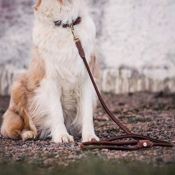 Jacson Alba Hundkoppel är ett stilrent och exklusivt hundkoppel i vegetabiliskt garvat läder, perfekt för dig som vill kombinera funktion med design!
