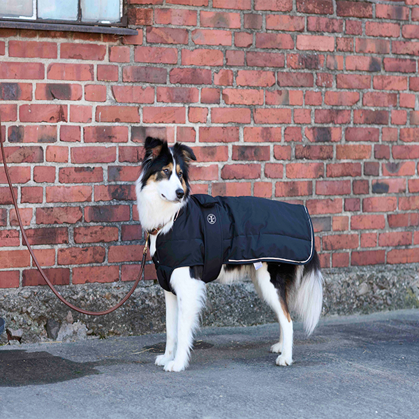 Jacson Rakel Hundtäcke är ett vinterhundtäcke med dunliknande syntetfyllning är perfekt för hundar som behöver extra värme och skydd under kyliga dagar!