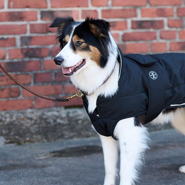 Jacson Rakel Hundtäcke är ett vinterhundtäcke med dunliknande syntetfyllning är perfekt för hundar som behöver extra värme och skydd under kyliga dagar!