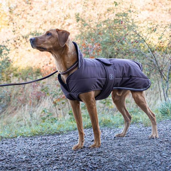 Jacson Sonja Hundtäcke är ett funktionellt och stilrent vinterhundtäcke som ger din hund optimal värme, komfort och skydd under kalla och blöta dagar!