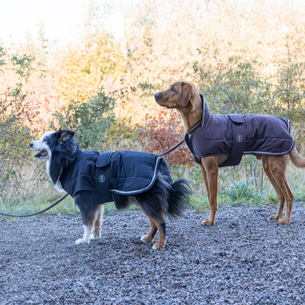 Jacson Sonja Hundtäcke är ett funktionellt och stilrent vinterhundtäcke som ger din hund optimal värme, komfort och skydd under kalla och blöta dagar!