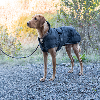 Jacson Sonja Hundtäcke är ett funktionellt och stilrent vinterhundtäcke som ger din hund optimal värme, komfort och skydd under kalla och blöta dagar!